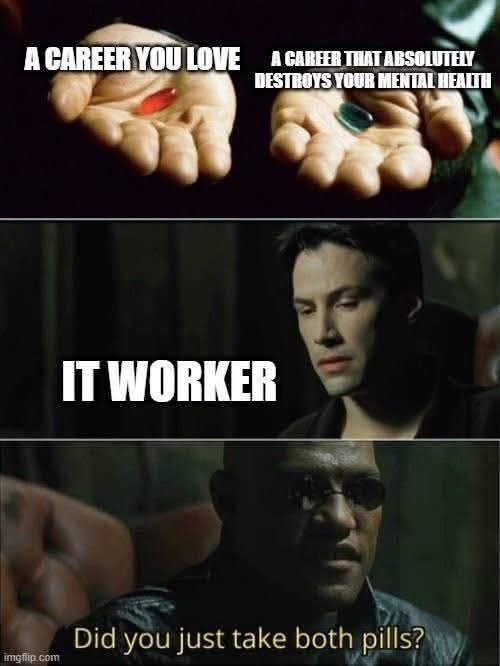 IT workers choosing between a career they love and one that destroys their mental health, then taking both obviously. 