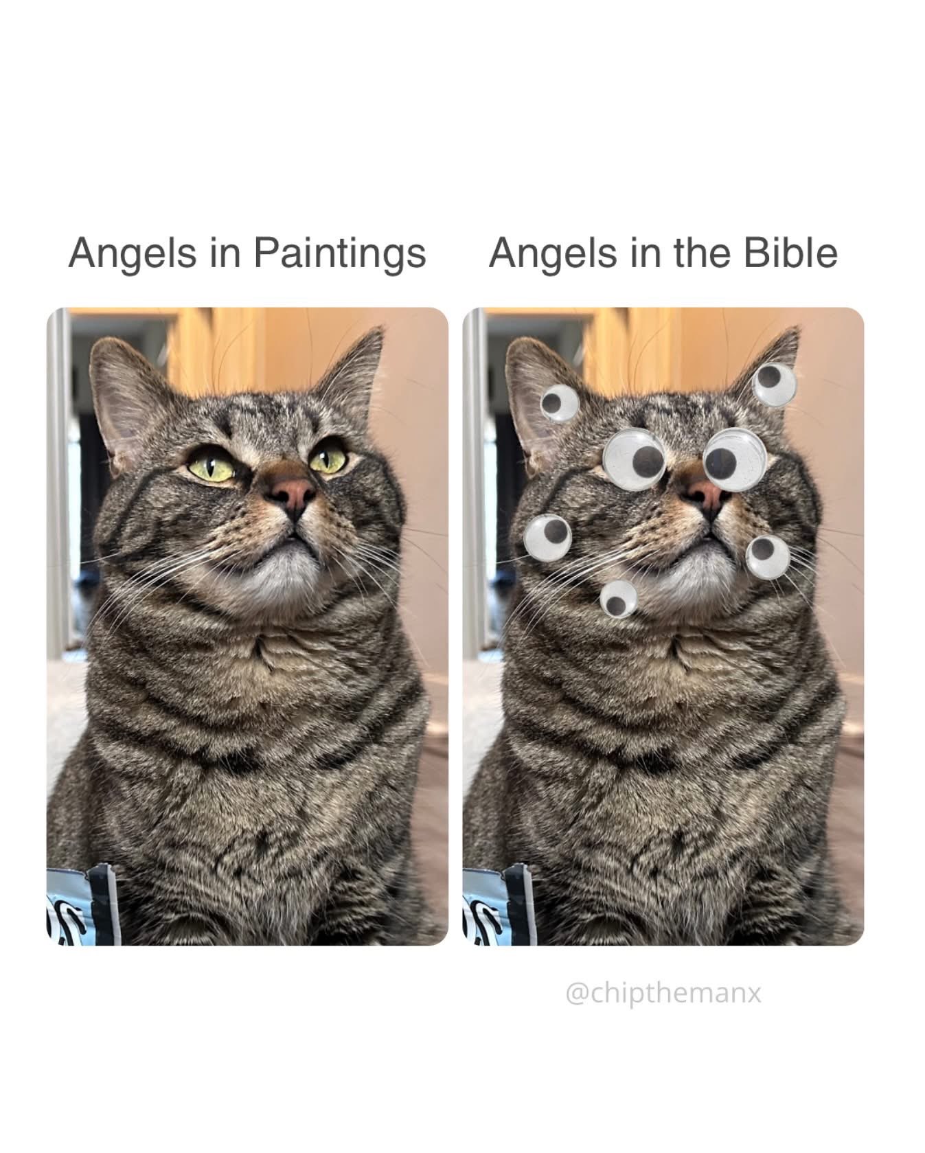 When you try to describe angels vs. what the bible actually says they look like
