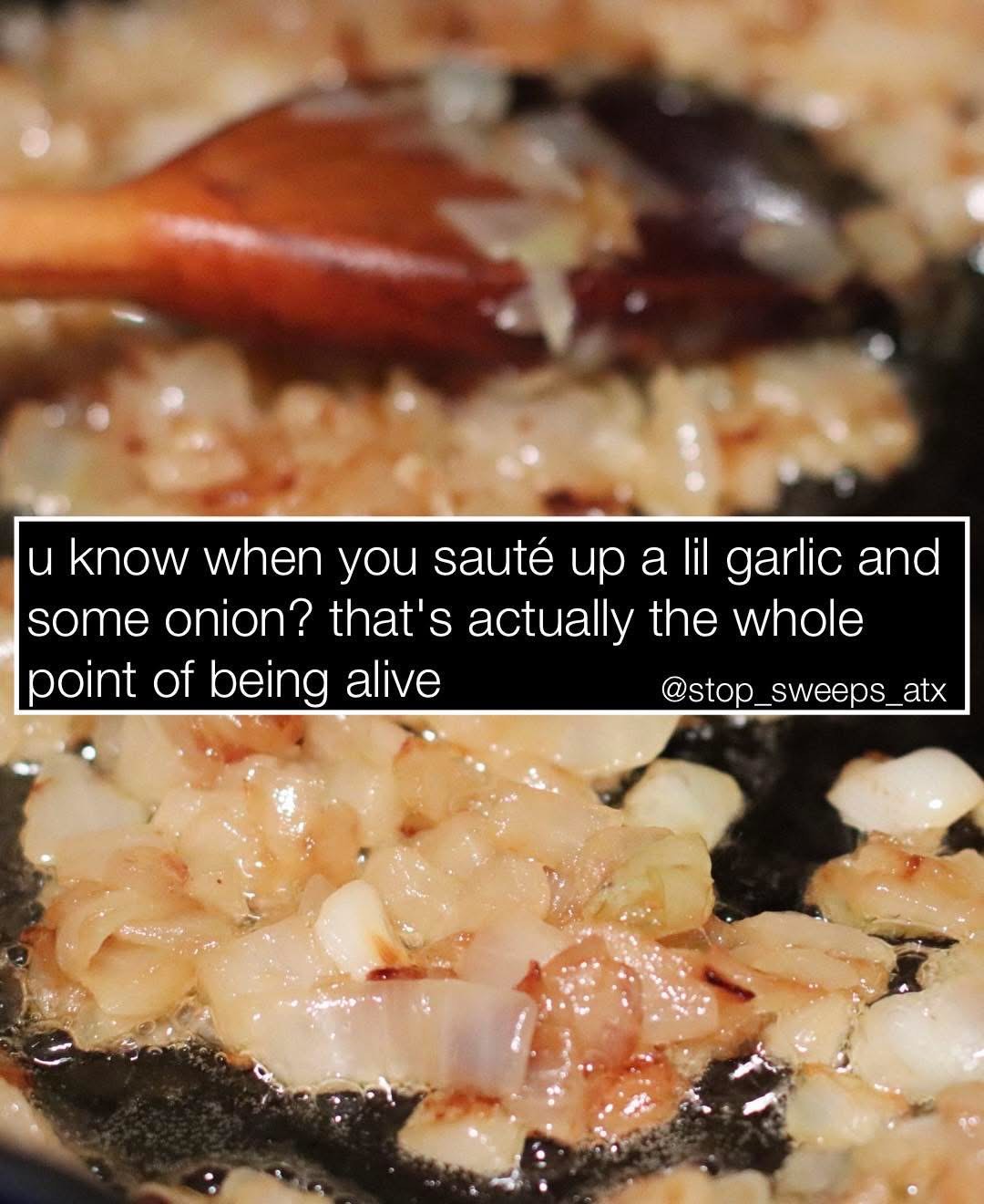 Yeah, sautéed garlic and onions are basically the whole point of life, not gonna lie.