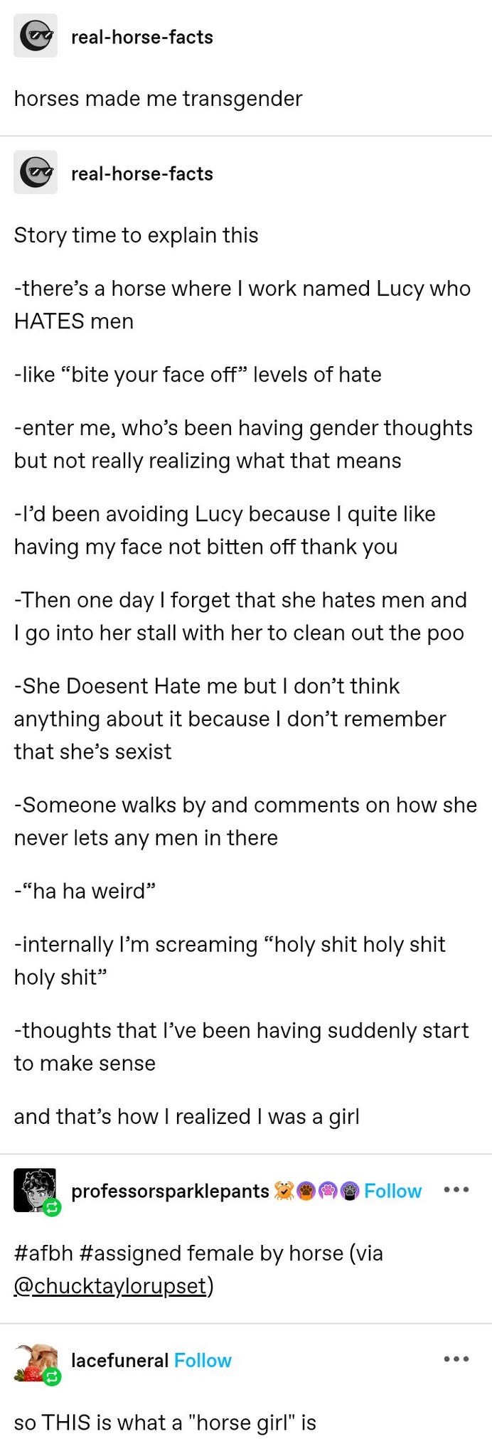 When a horse named Lucy who hates men accidentally helps you realize you're trans bc she doesn't hate you