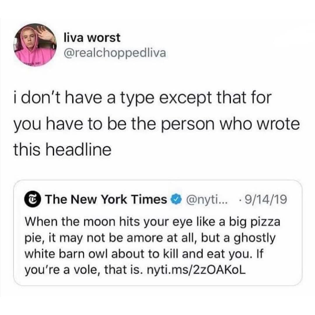 My type is literally just the person who writes The New York Times headlines, especially the weird ones