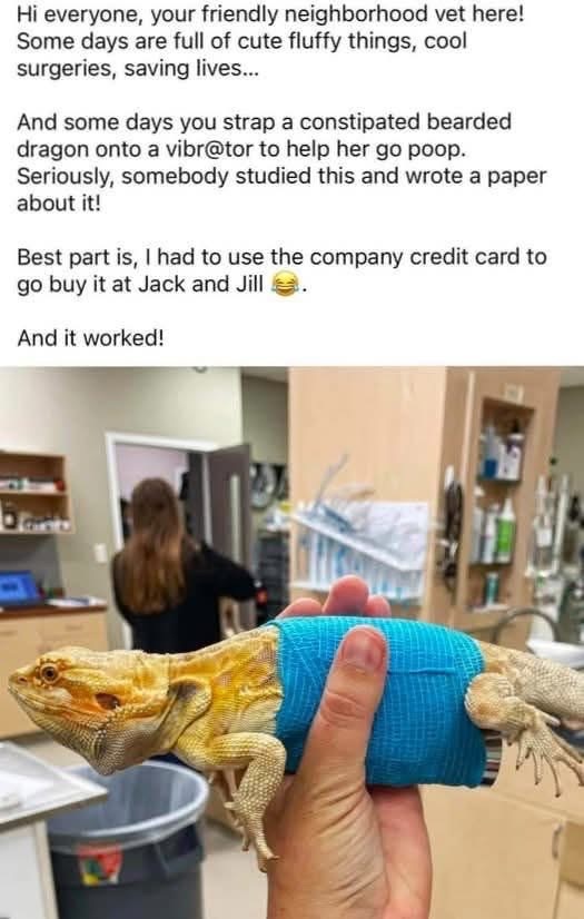 When you're a vet and have to use creative (and company funded) methods for animal constipation. 
