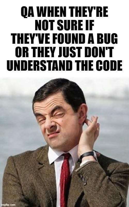 When QA is having an existential crisis about whether the code is broken or they're just confused