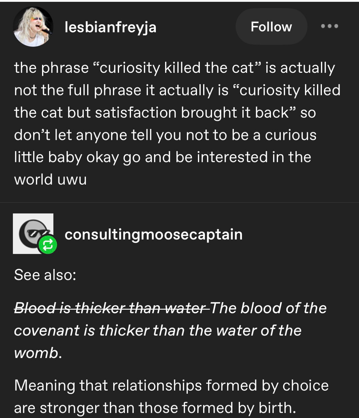 When you realize the phrase 'curiosity killed the cat' has a happier ending 'but satisfaction brought it back'