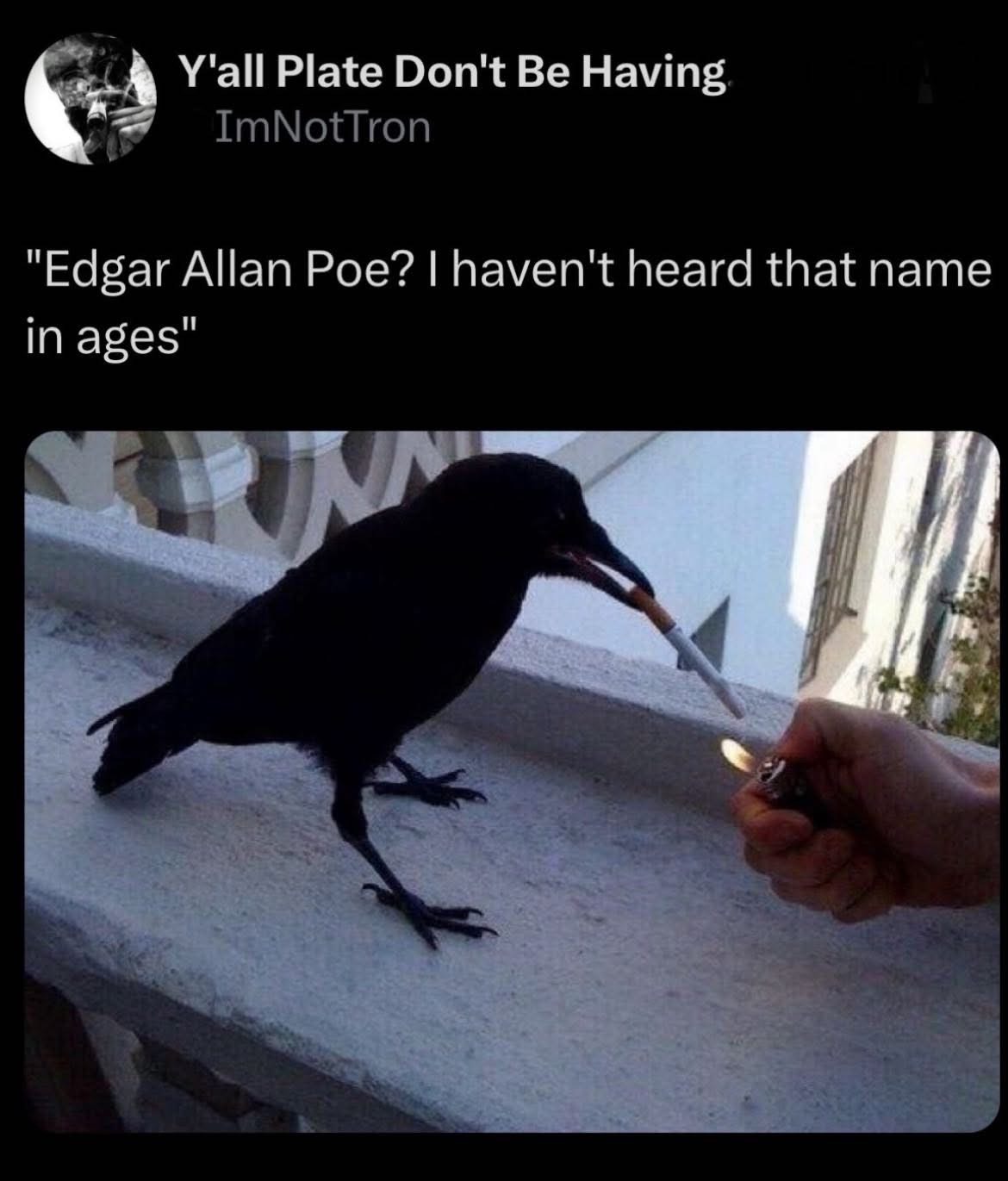 When the bird is literally Edgar Allan Poe and you pretend you don't know who he is