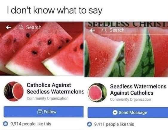 Wait, so are we *for* or *against* seedless watermelons???