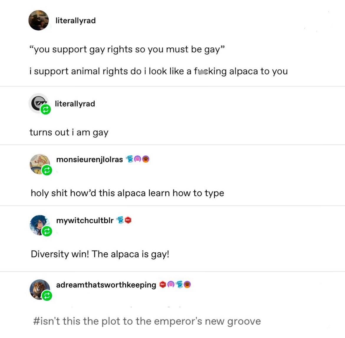 LMAO, the alpaca came out of the closet but no one expected it