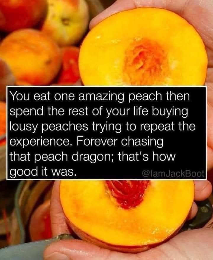 Me trying to find a peach as good as that one I had years ago
