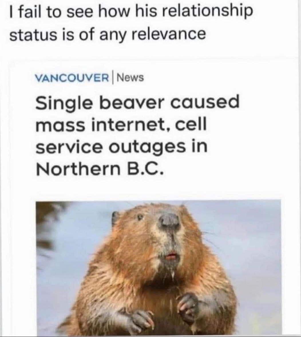 A single beaver caused internet outages? And they think his relationship status matters lol