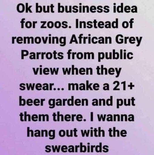 Zoos should just make a 21+ beer garden for the swearing parrots, I'd hang out there.