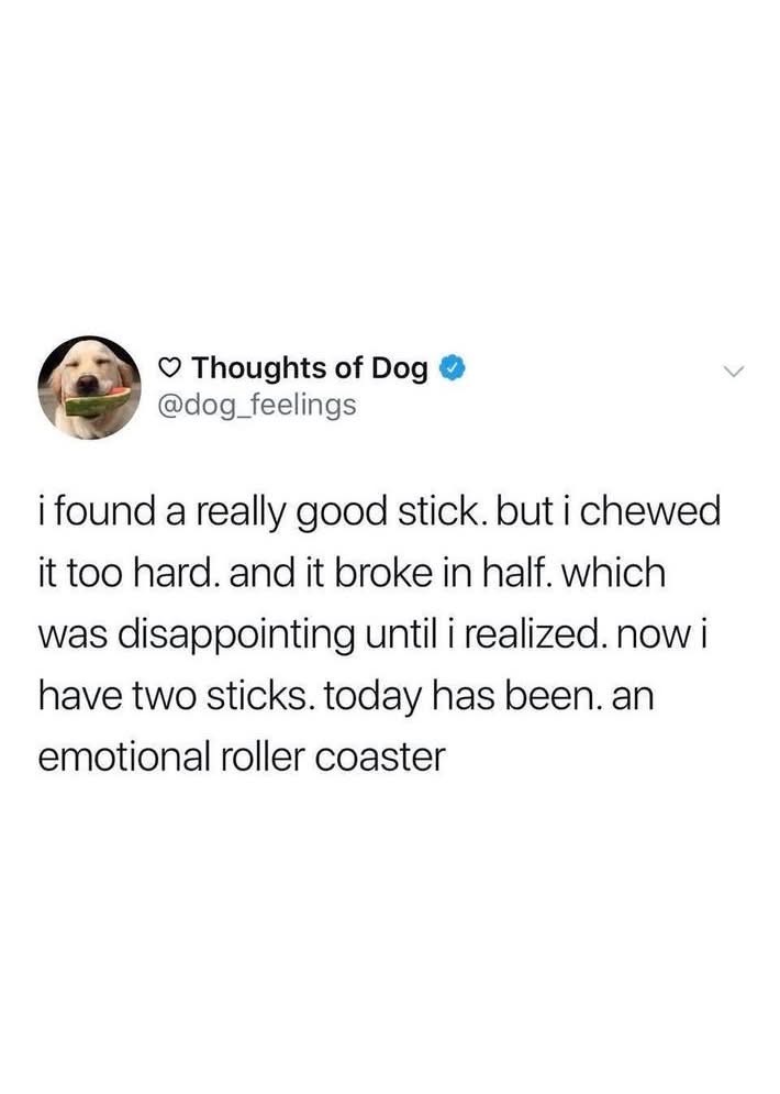 OMG this dog is having a whole emotional journey about his stick