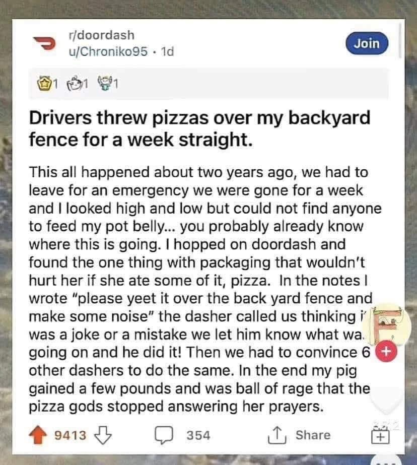 My pig got so spoiled by DoorDash pizzas being YEETed over the fence that she got mad when the pizza gods stopped answering her prayers.