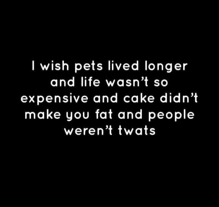 Pretty much sums up my ideal life. Wishful thinking, right?