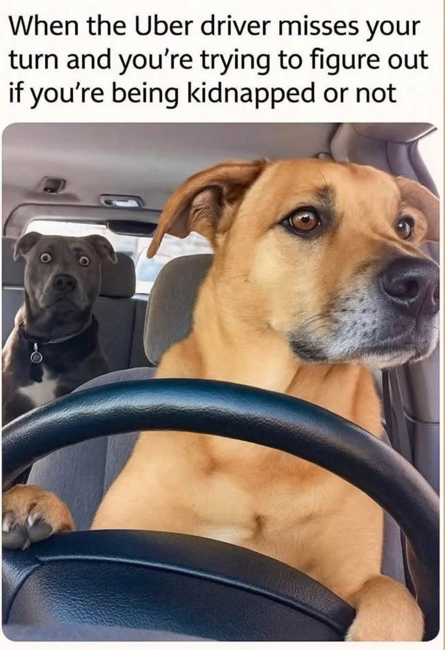 Me and my friend when the Uber driver takes a weird turn and we're not sure if we're gonna make it.