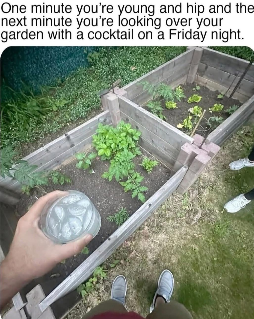 So this is what being an adult is about, checking out the garden with a drink