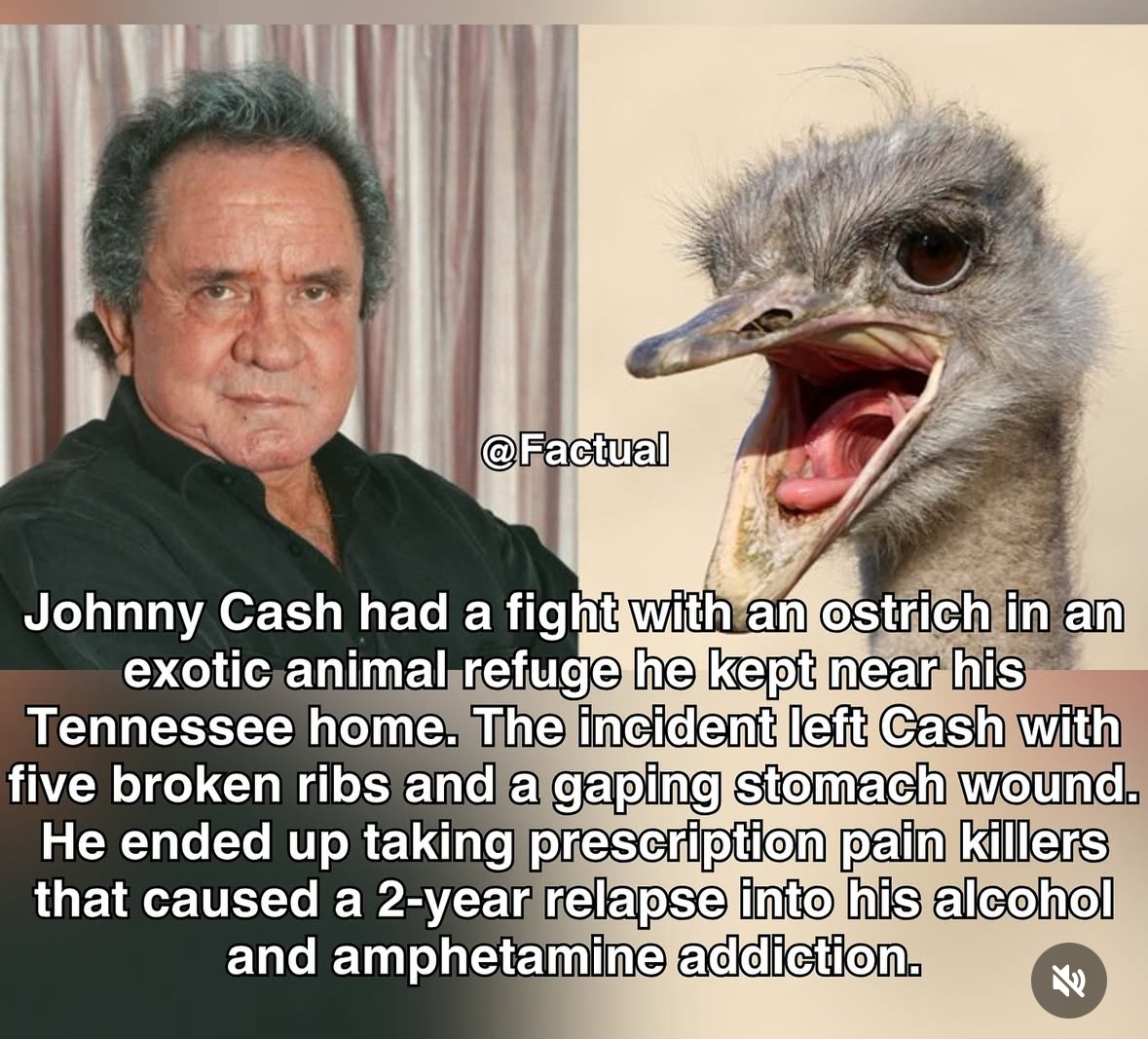 Johnny Cash versus an ostrich. The ostrich won.