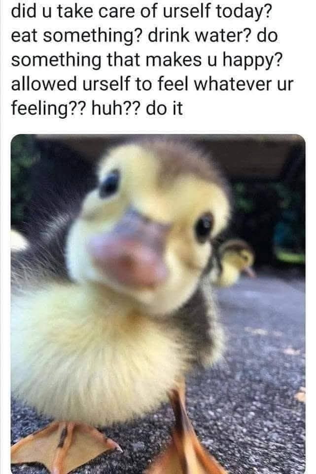 My mom gently reminding me to take care of myself before I spiral