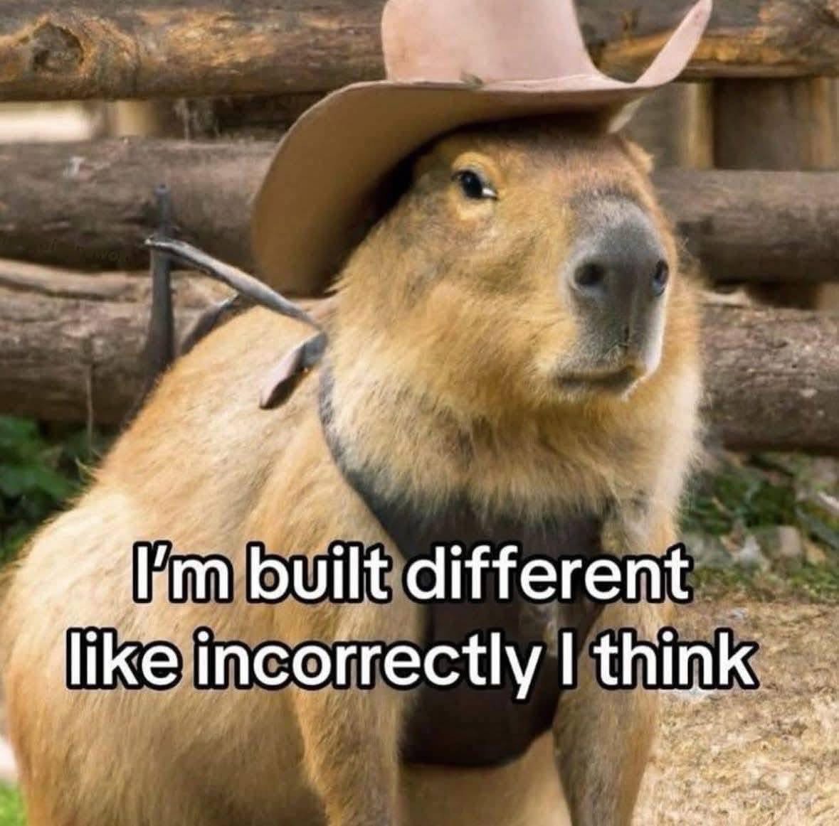 When you think you're built different but then realize you're just incorrectly built