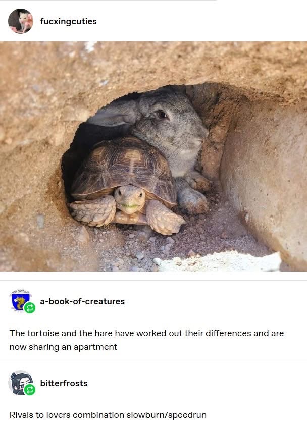 The tortoise and the hare are now roommates, I guess the fable got a rewrite