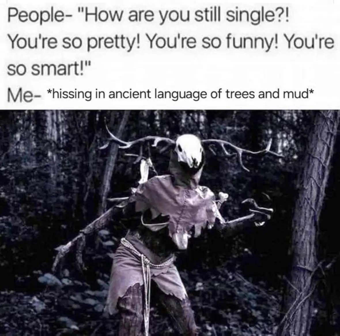 When people ask why you're single but you're actually just a forest creature
