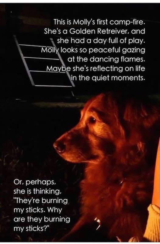 Me pretending to be deep and philosophical when I'm actually just worried about my sticks burning.