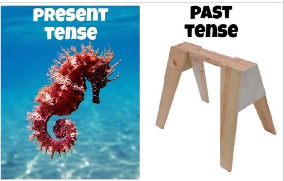 When you try to remember grammar lessons