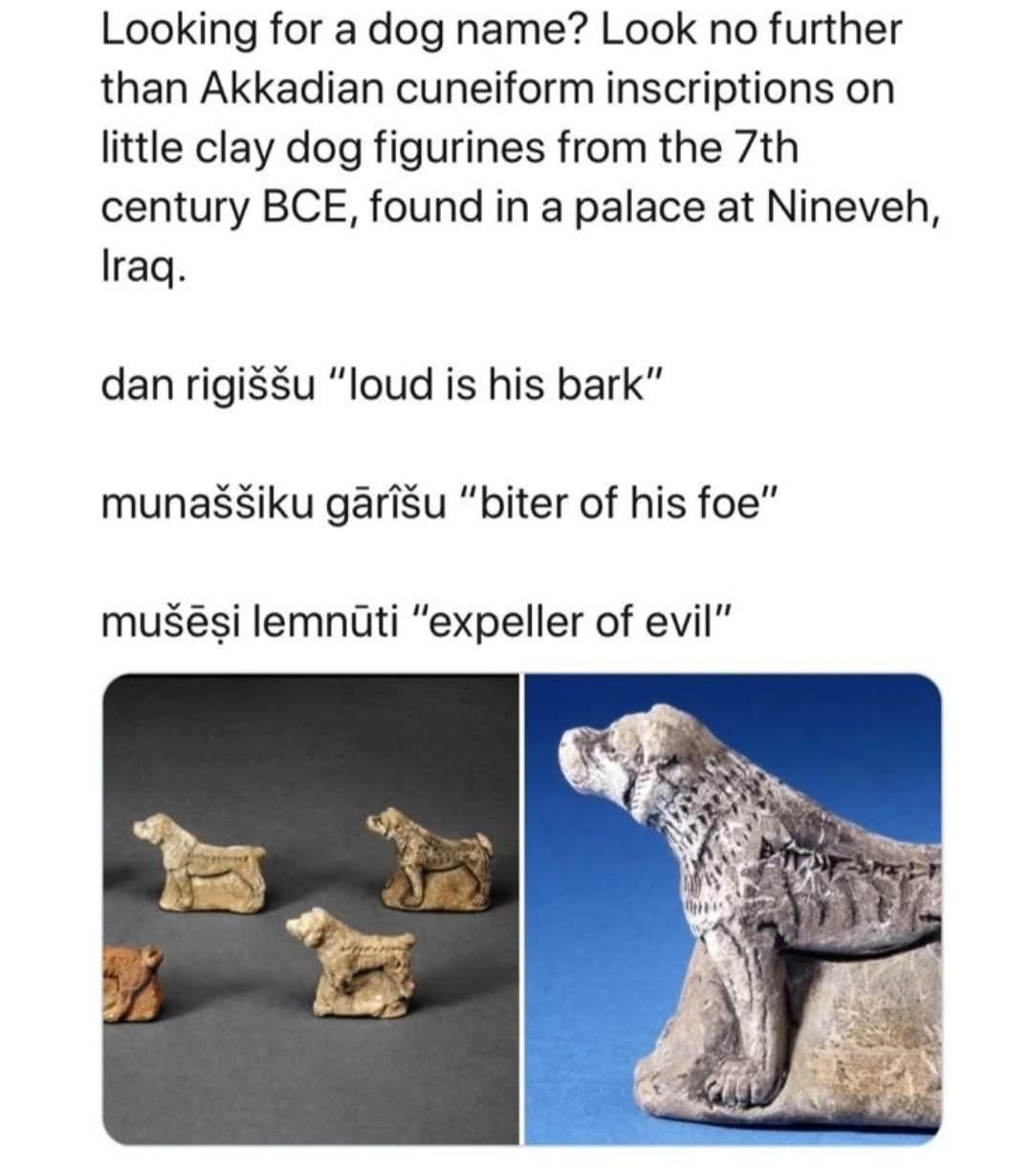 Me looking for a dog name and ending up with titles for an ancient Mesopotamian warrior dog