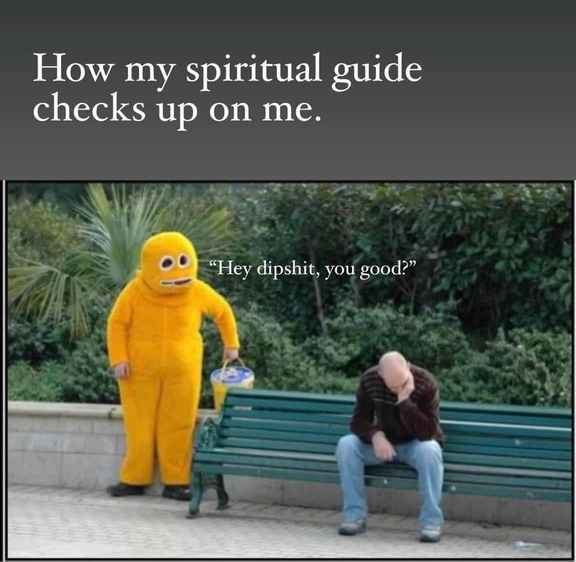 When your spiritual guide is less 'enlightened guru' and more 'dude who wears a yellow onesie'