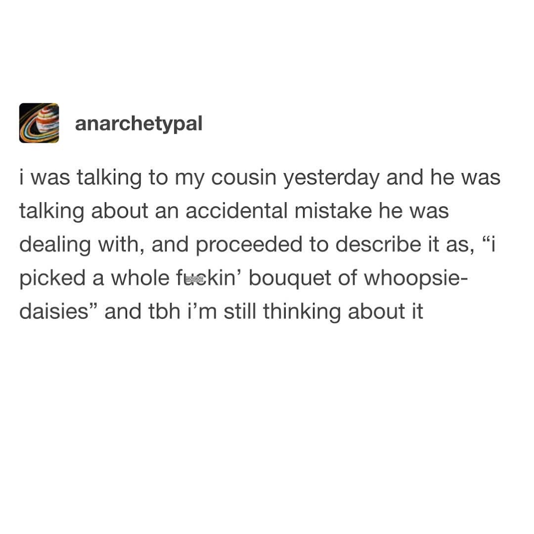 My cousin calling his screw-up a 'bouquet of whoopsie-daisies' has me dead