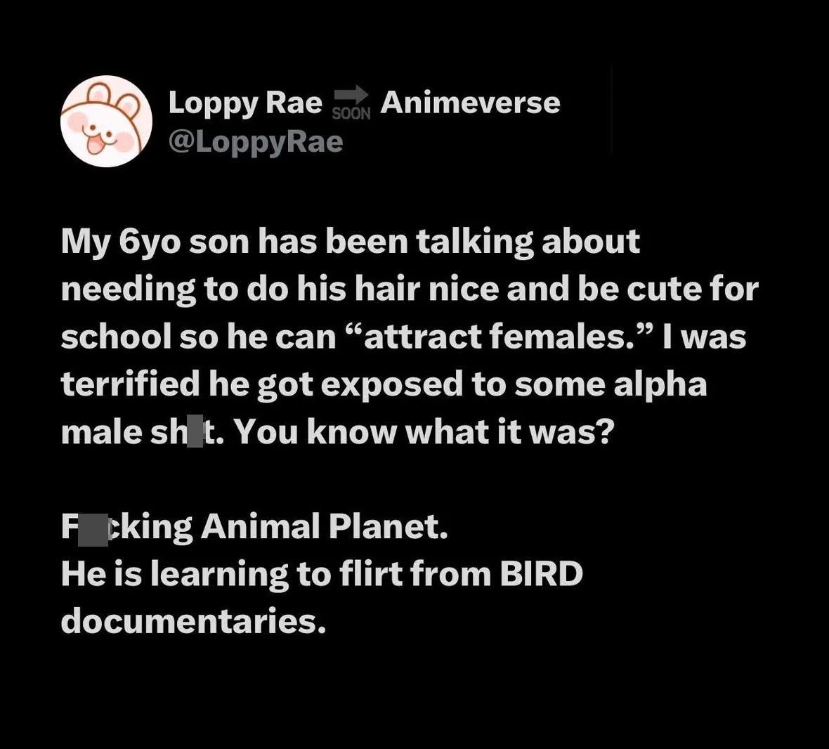 My son is trying to learn how to attract girls and I was scared he learned it from some toxic online stuff, but nope, it's just bird documentaries.