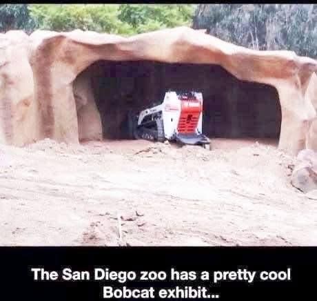 When you read "Bobcat exhibit" and are expecting an animal but it's just construction equipment