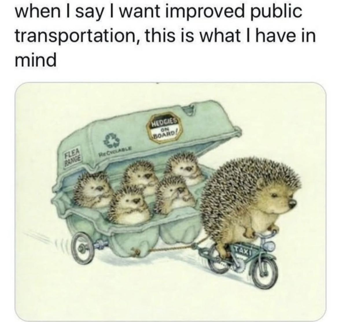 When you ask for better public transport and get this adorable hedgehog taxi service