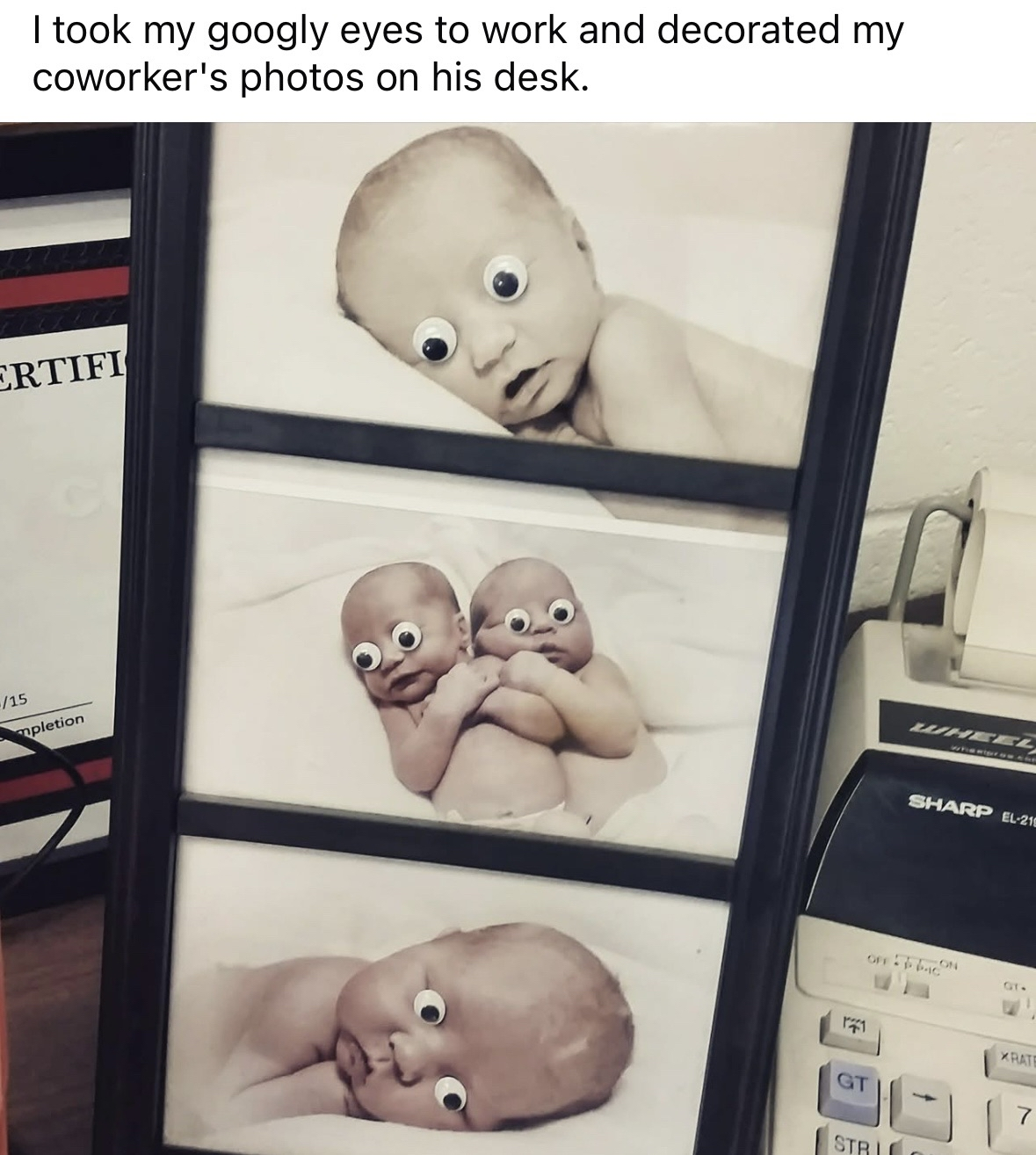 When you prank your coworker by adding googly eyes to his baby photos, and now they all look utterly terrified.