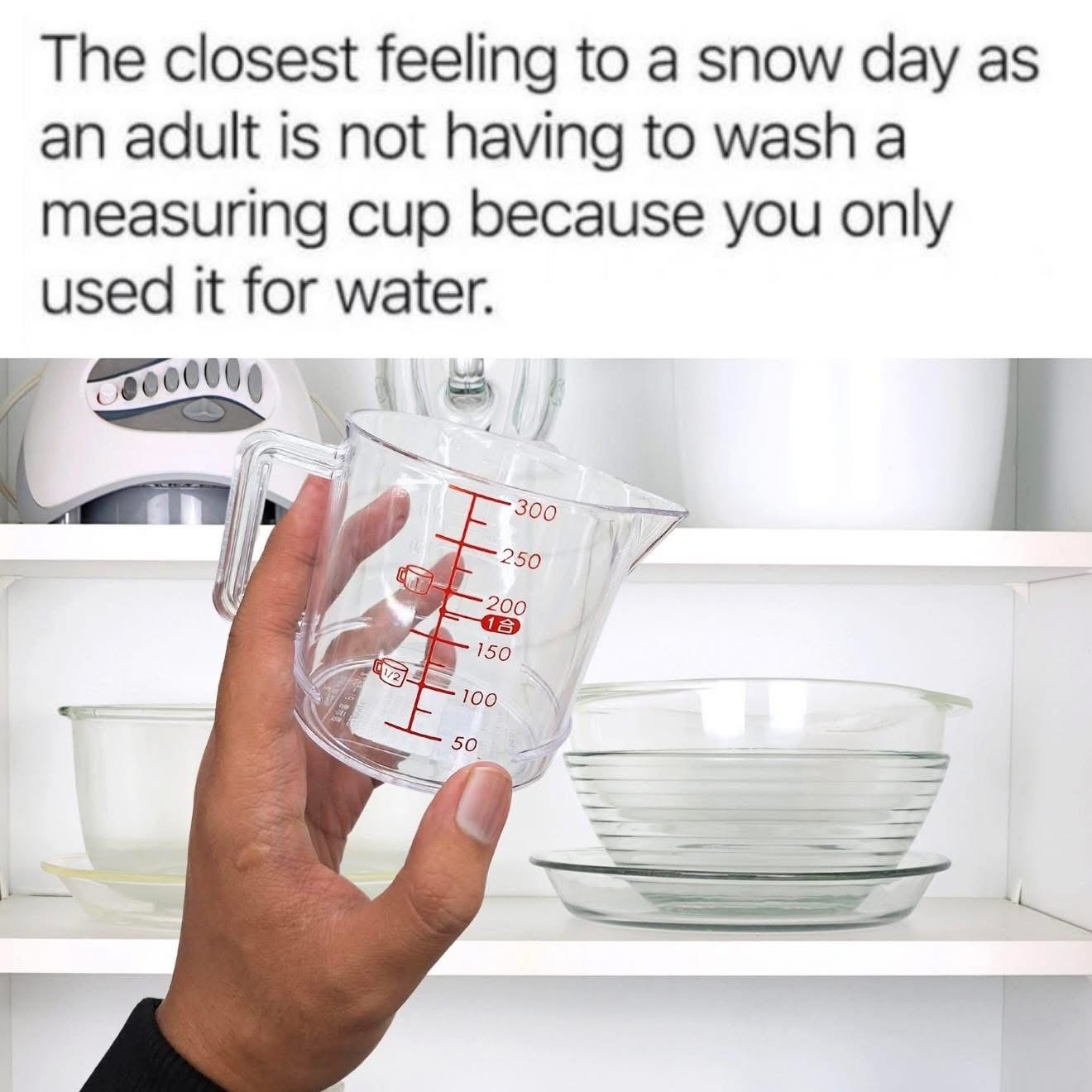 Adulting is basically just finding loopholes to avoid doing chores, like not washing a measuring cup bc you only used it for water.