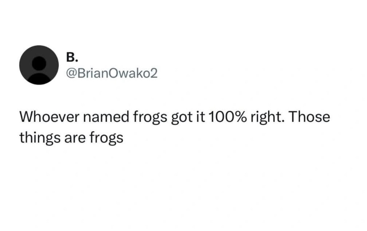 No words to describe this, except... they are frogs.