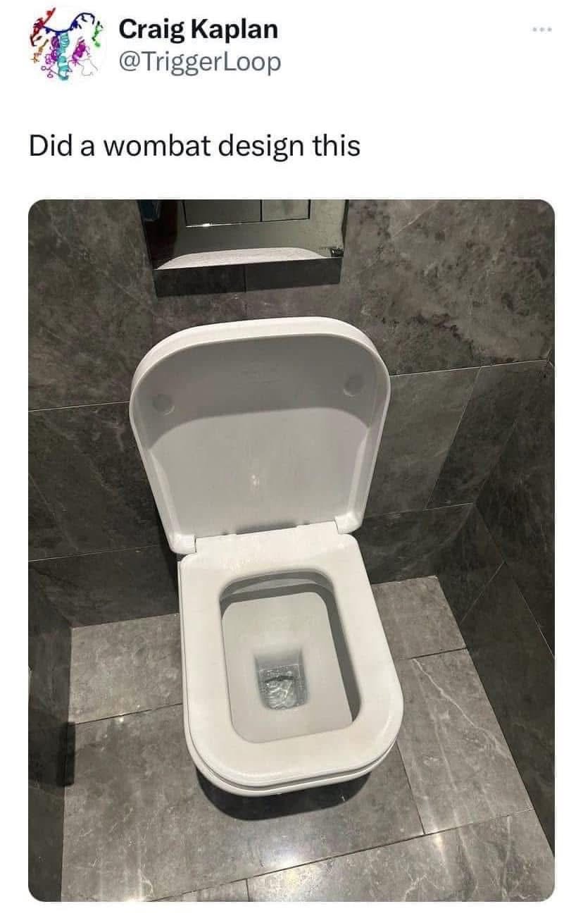 This toilet has a unique shape
