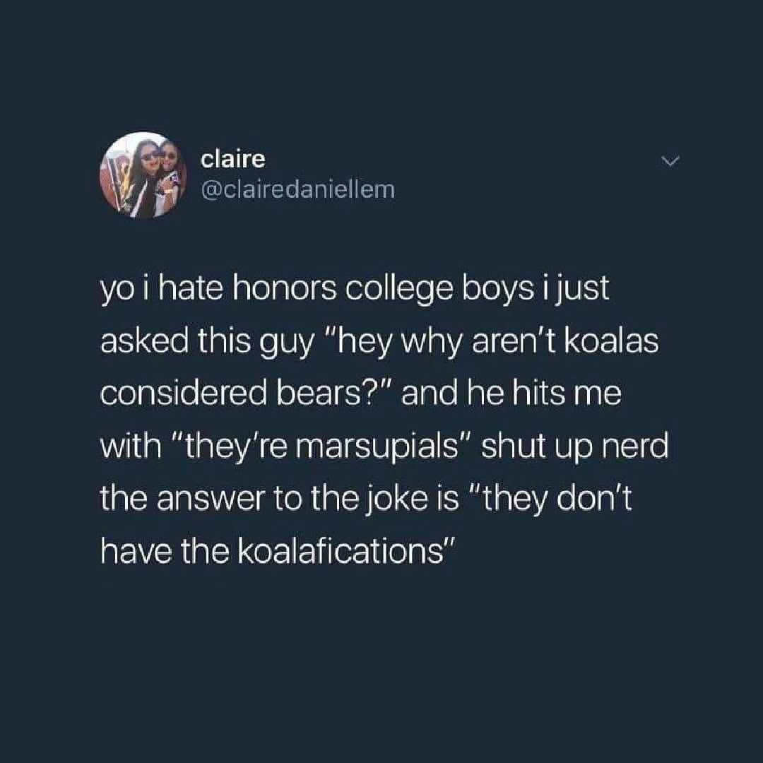 This tweet is about someone dissing honors college boys for not getting a pun, but then the tweet author reveals their own terrible pun.