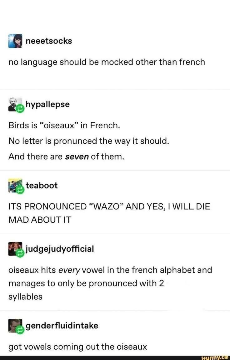 Wait, why is the French word for birds pronounced like that, it makes no sense!