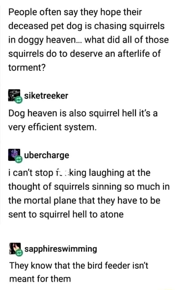 So apparently dog heaven is just squirrel hell and I can't stop laughing