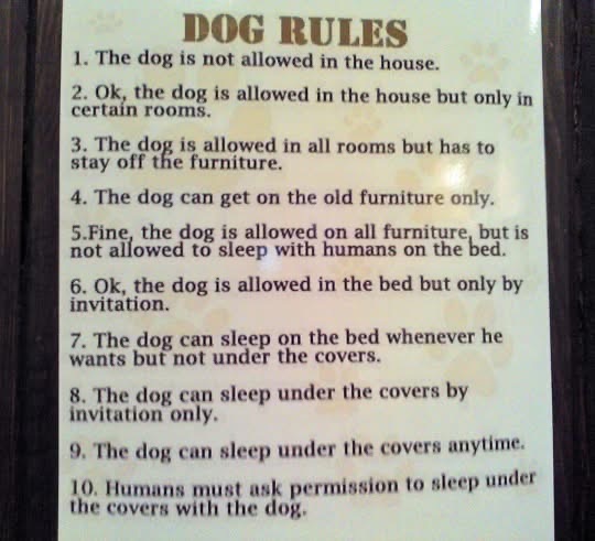 It's a slippery slope from 'no dogs allowed' to 'humans need permission to sleep with the dog'