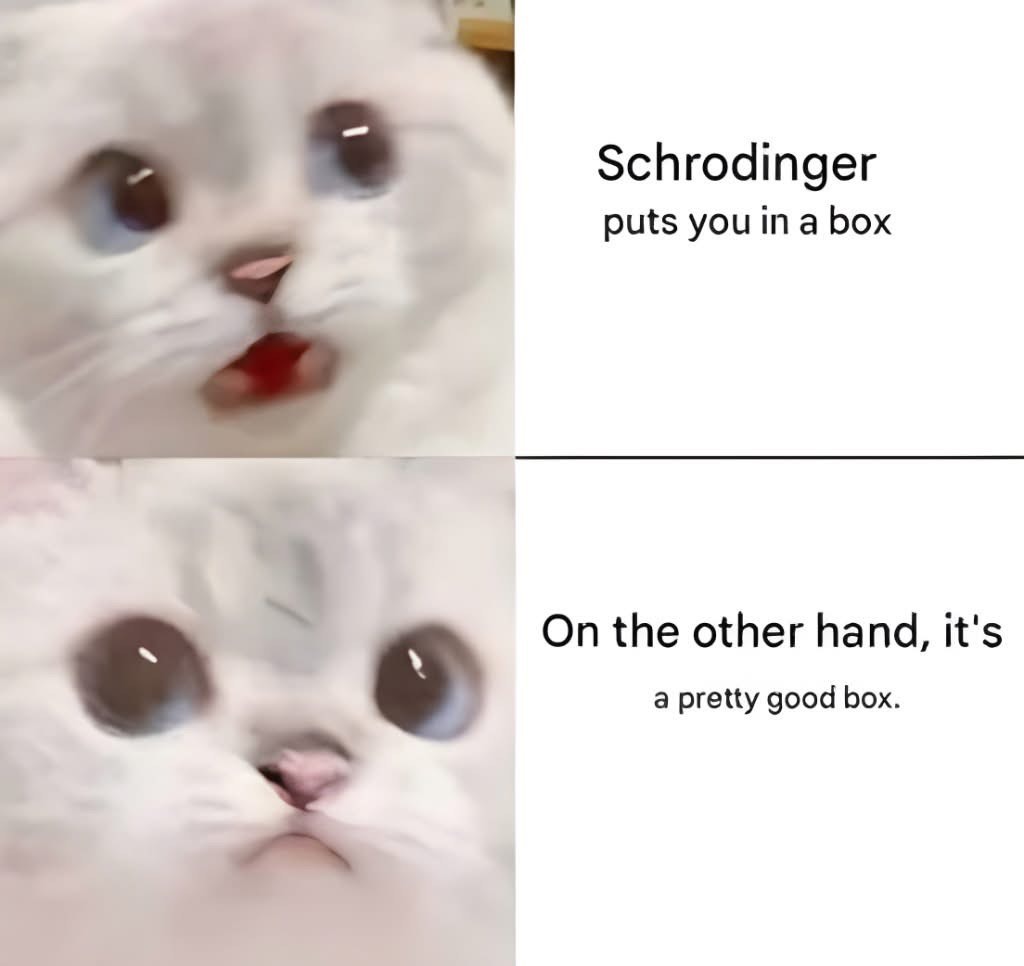 Schrodinger putting me in a box is bad, but a pretty good box is... also bad?
