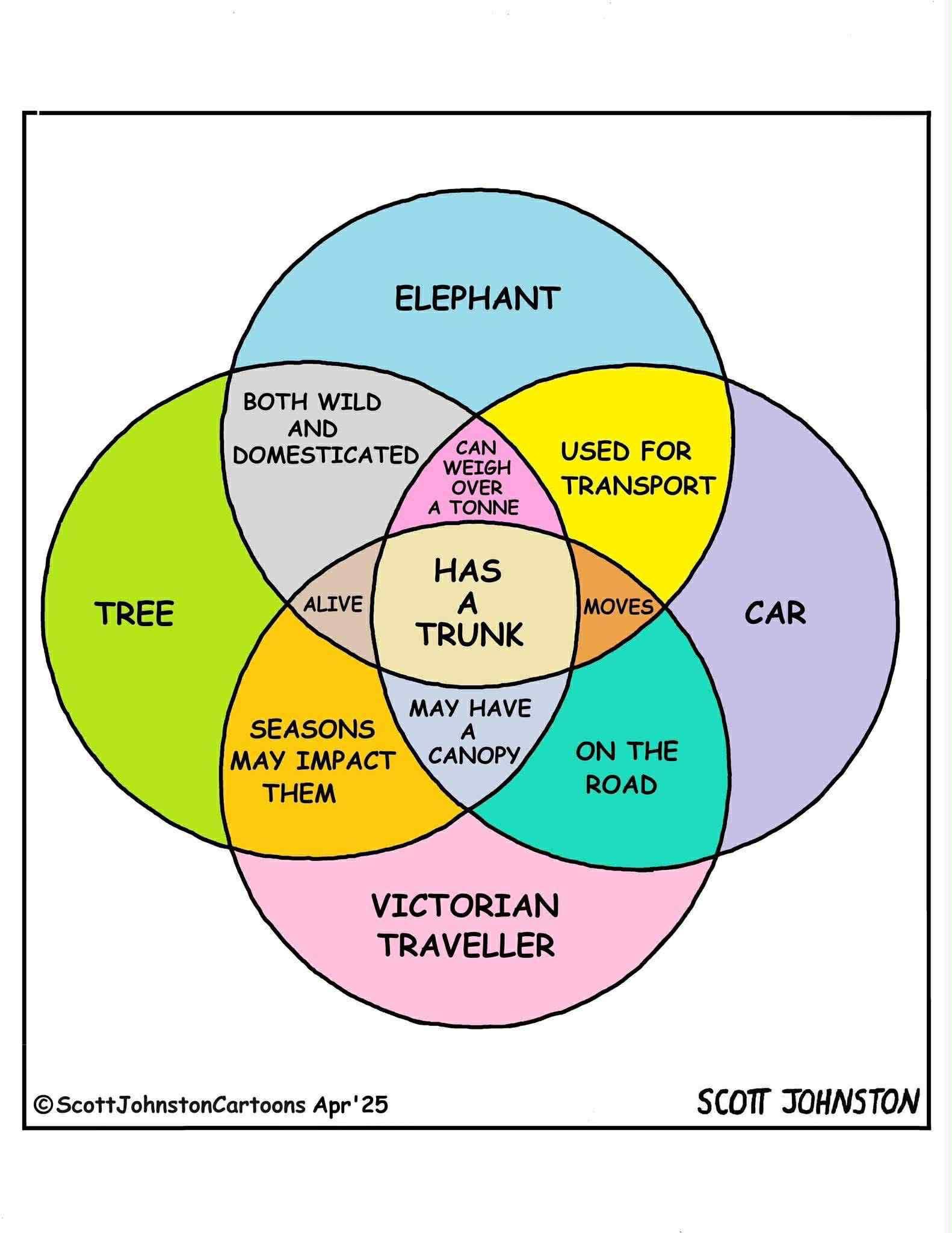 Who knew trees, elephants, cars, and Victorian travelers all have a trunk?