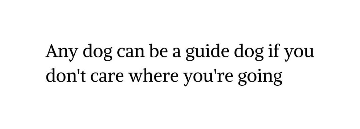 Literally any dog can be a guide dog if you're too lazy to care about the destination.