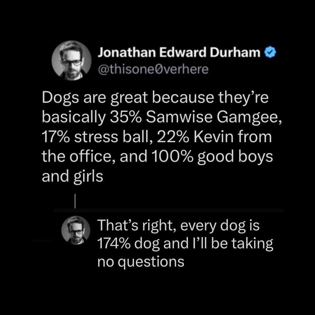This person calculated dogs and the math just doesn't add up, but like, it's fine.