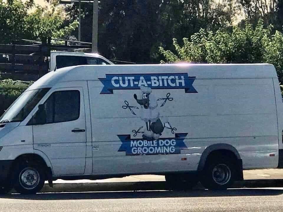 When the dog groomer's name is a little too literal