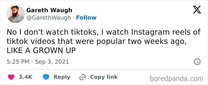 Me claiming I'm not addicted to TikTok but I do watch Reels of old TikToks like a real adult
