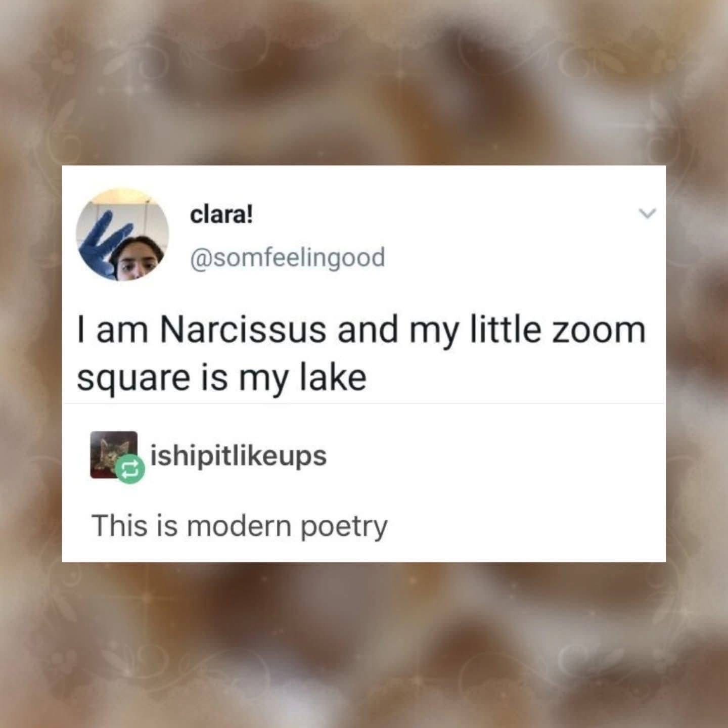 Basically calling yourself Narcissus because you're obsessed with your own face on Zoom. 😂