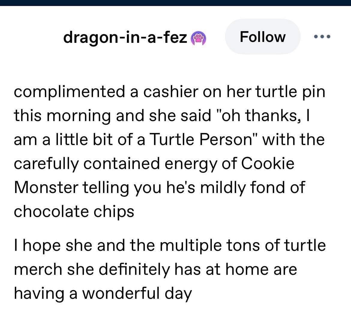 When you describe yourself as a "Turtle Person" with the energy of Cookie Monster admitting he likes chocolate chips.