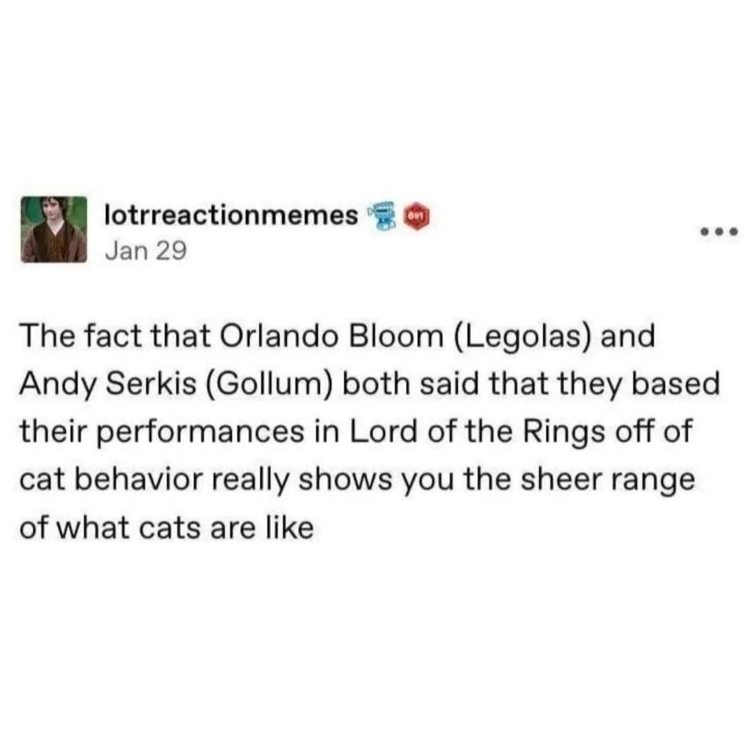 Wait, so Legolas and Gollum are basically just cat behavior cataloged? That explains sooo much