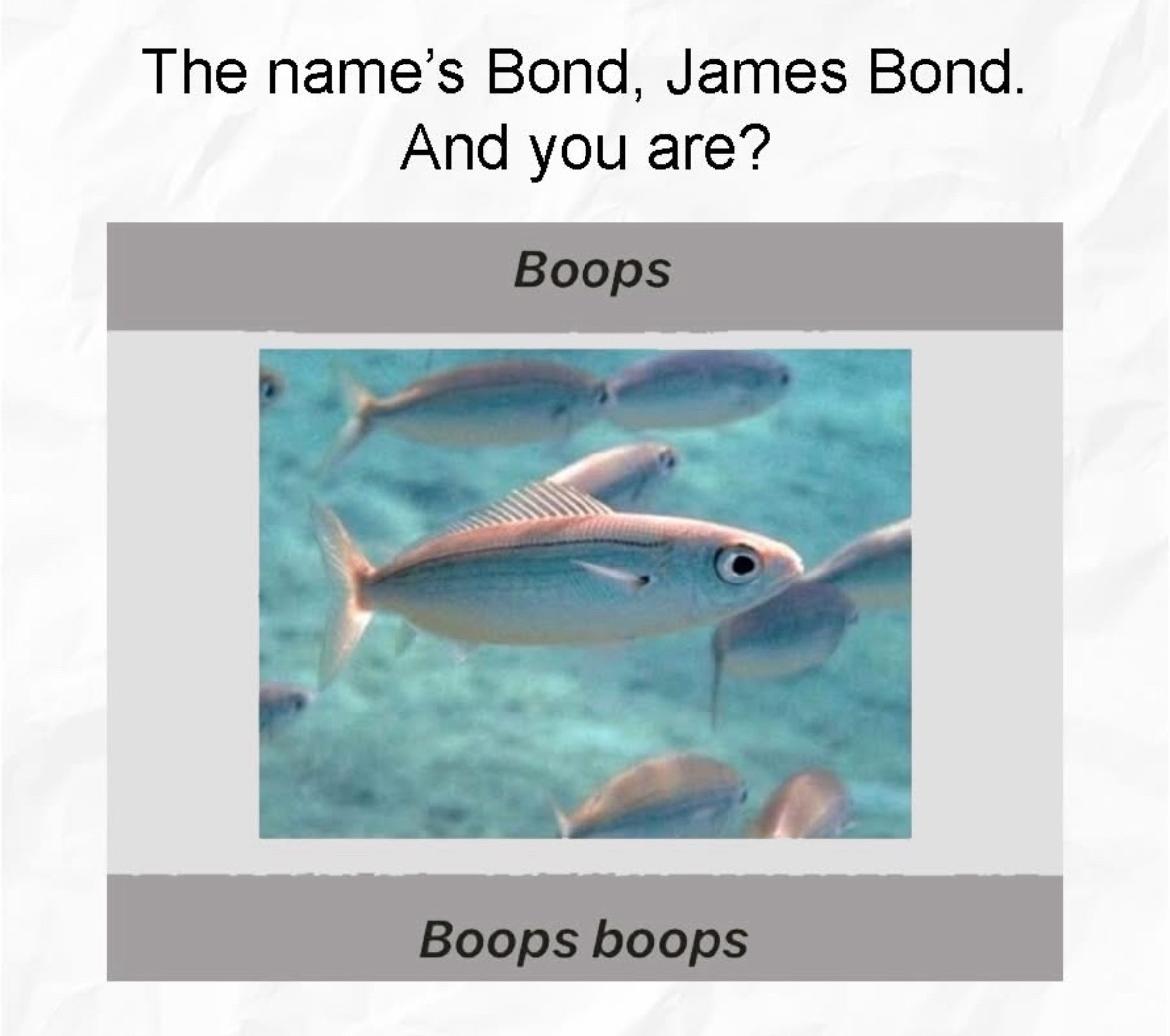 James Bond meets the fishes and... they just say Boops boops?